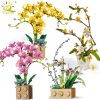 HUIQIBAO 1369Pcs Orchid Flower Bouquet Series Building Block MOC 5 Colors Bonsai DIY Assembly Bricks Toy - LEPIN LEPIN Store